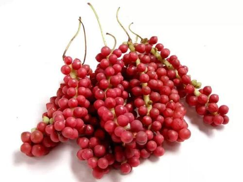 Schisandra