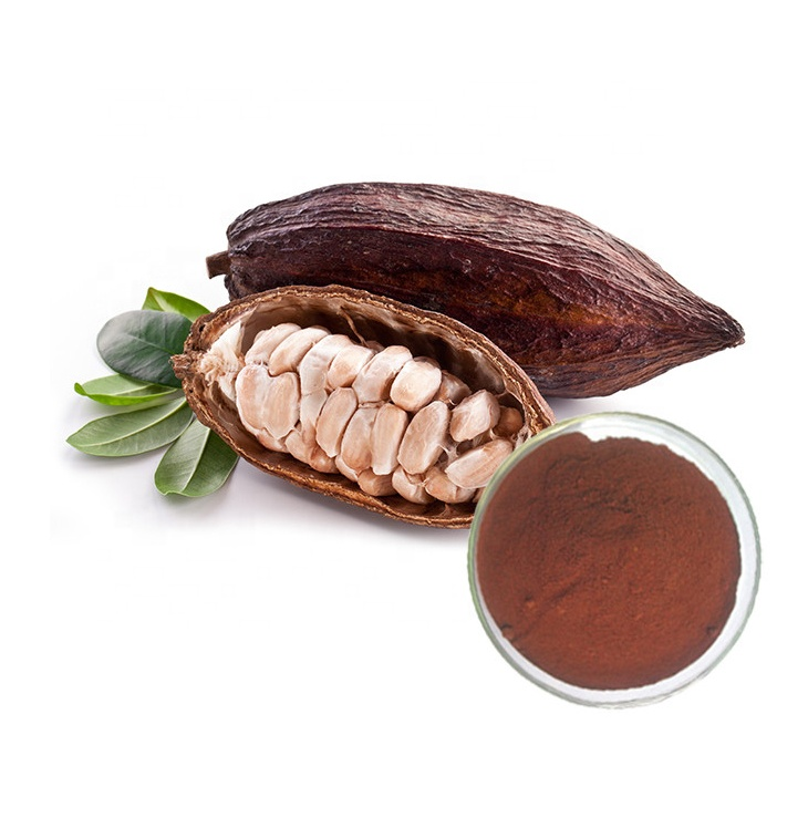 Theobroma Cacao